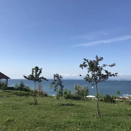 Море Daire